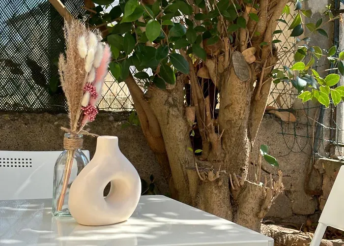 Apartment Le Petit Cocon De